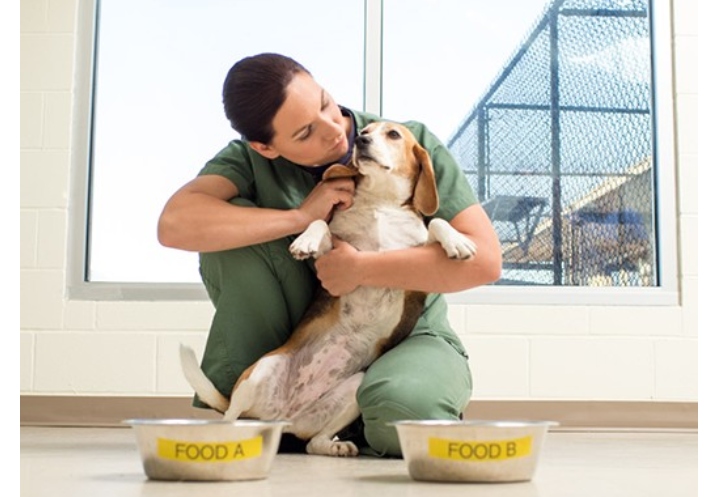 What it’s like to be animal technicians at AFB’s PARC Animal Technicians Find Passion and Purpose