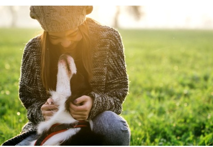 Videka joint venture between Diana Pet Food and Kalsec