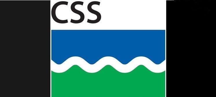 CSS to explore Recycled Groceries