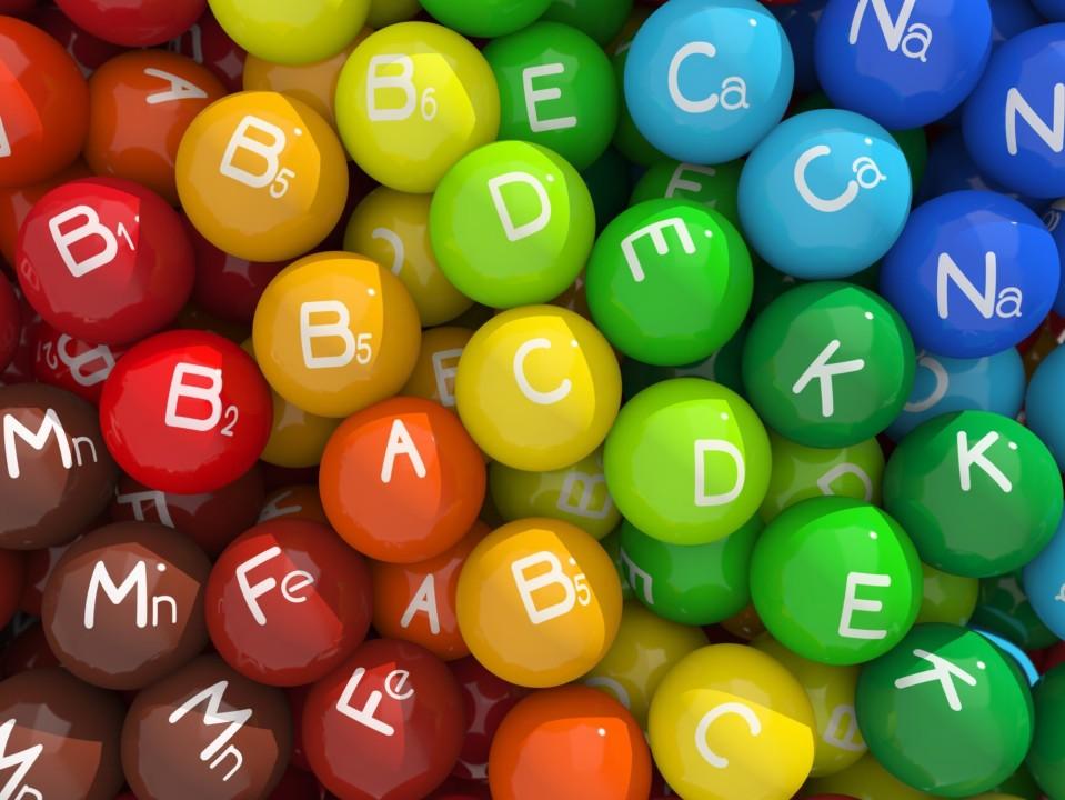 Importance of vitamins and minerals in petfood The importance of Vitamins and Minerals in Cat and Dog Food