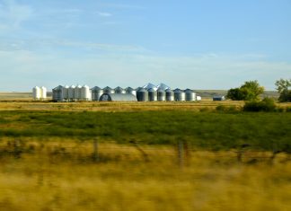 Russian Government establishes quota for export of mineral fertilizer until end of 2022