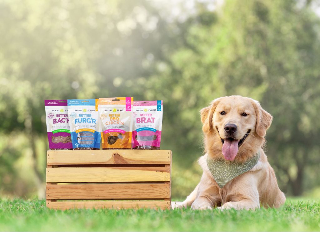 pet food 