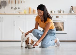 China’s petfood market continues growth amid decline in imports