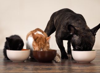 Pets Global partners with Natural Pet Distributors to expand reach in Eastern Canada