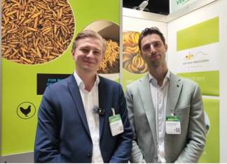 An Interview with Lukas Wegener and Jan-Paul Schwarz, Böcker – Interzoo 2026