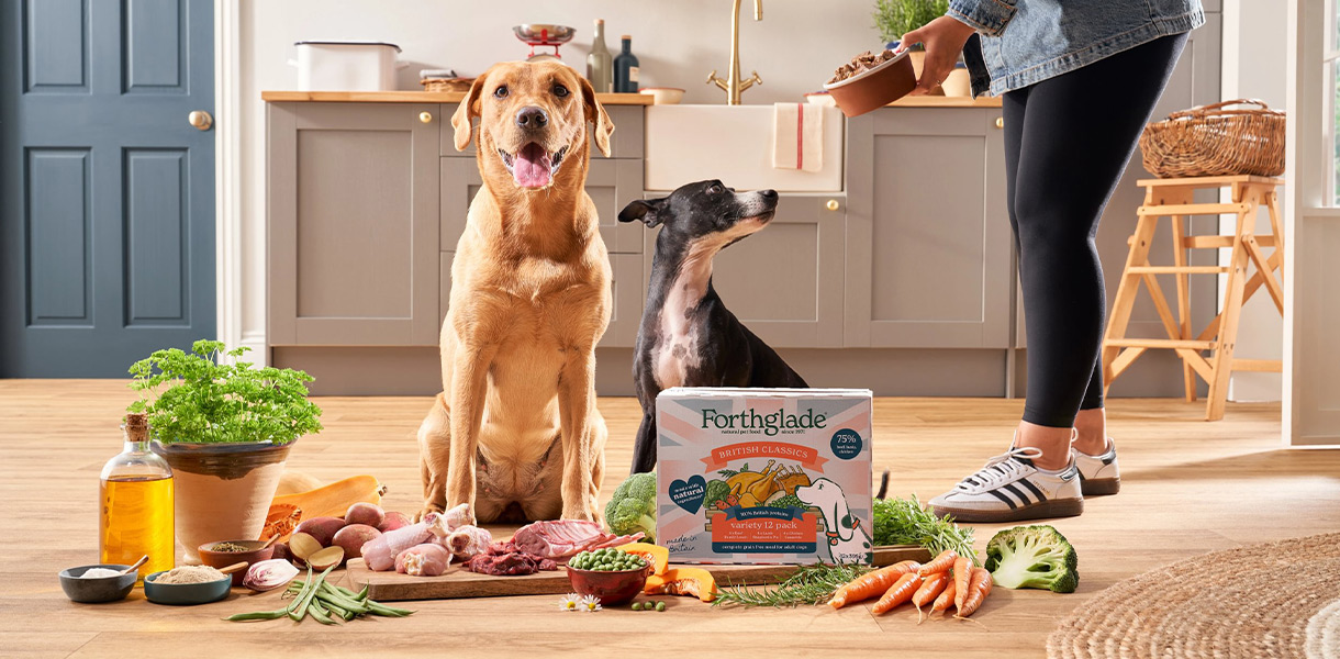 Assisi Pet Care