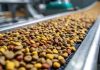 Beyond Price and Brand :The growing nutritional trend in petfood industry