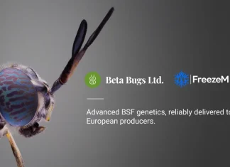 Beta Bugs & FreezeM Partner to Advance Black Soldier Fly Production Black Soldier Fly