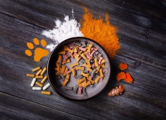 WACKER Brings Fermentation-Based Ingredients to EU Petfood Market WACKER