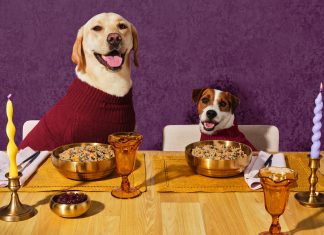 Ollie Introduces Holiday Feast Dog Food Recipe Ollie