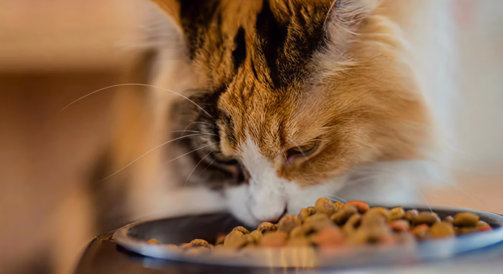 Purina