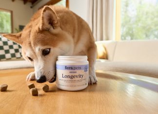 Fera Pets Launches Longevity Soft Chews for Dogs Fera Pets