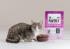 Bixbi Certifies Six Cat Kibble Recipes Bixbi